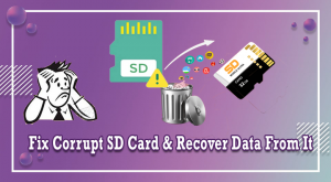 corrupted sd card recovery pro torrent