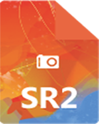 sr2 file repair